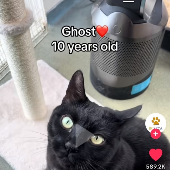 Meet your Posher, M - Picture 1 of 1